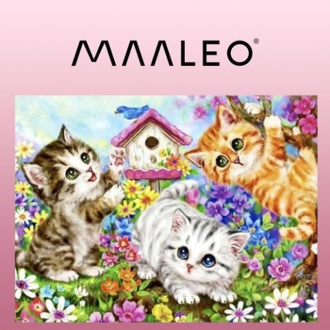 MALOWANIE PO NUMERACH 40X50CM- KOTKI MAALEO 22781