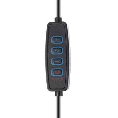 LAMPKA BIURKOWA 2W1 IZOXIS 23503