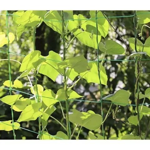 SIATKA - PODPORA DO ROŚLIN 2X20M GARDLOV 23980