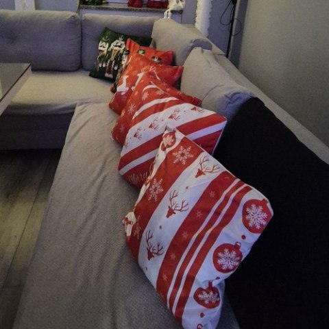 POSZEWKA DEKORACYJNA 45X45XCM RUHHY X4 24827
