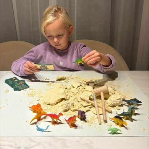JAJO DINOZAURA - WYKOPALISKA 24981