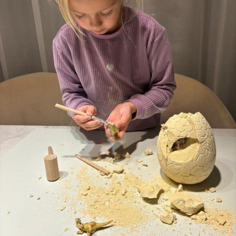 JAJO DINOZAURA - WYKOPALISKA 24981