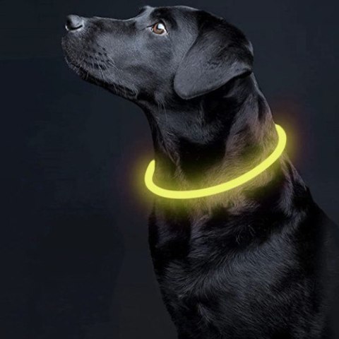OBROŻA ŚWIECĄCA LED- REGULOWANA PURLOV 24200