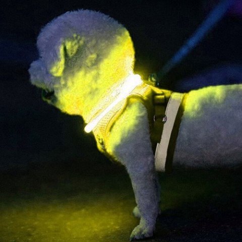 OBROŻA ŚWIECĄCA LED- REGULOWANA PURLOV 24200