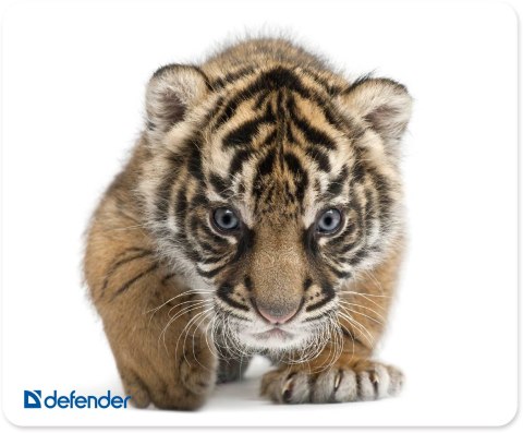 PODKŁADKA DEFENDER 230X190X1.6mm 10 WZORÓW ANIMALS PODKŁADKA DEFENDER 230X190X1.6mm 10 WZORÓW ANIMALS