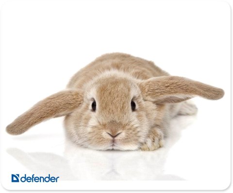 PODKŁADKA DEFENDER 230X190X1.6mm 10 WZORÓW ANIMALS PODKŁADKA DEFENDER 230X190X1.6mm 10 WZORÓW ANIMALS