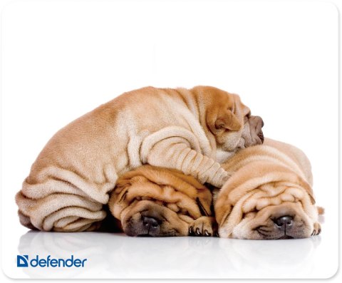PODKŁADKA DEFENDER 230X190X1.6mm 10 WZORÓW ANIMALS PODKŁADKA DEFENDER 230X190X1.6mm 10 WZORÓW ANIMALS