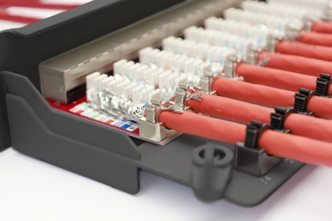 Patch panel DIGITUS Professional DN-91624S-EA-B - 1U - 19 Patch panel DIGITUS Professional DN-91624S-EA-B - 1U - 19