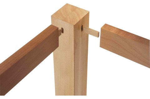 Festool 493296 kołek rozporowy 1800 szt. Buk Ciasteczkowy