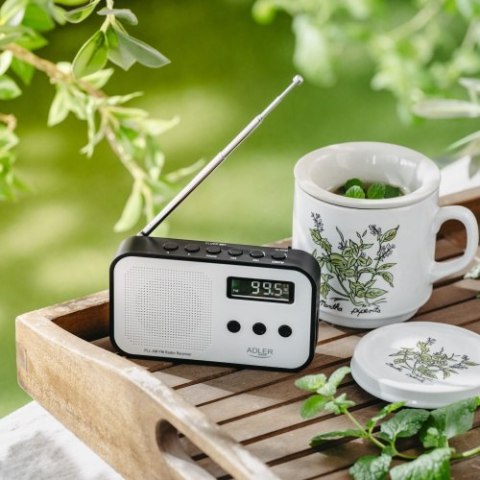 Radio cyfrowe PLL AM / FM