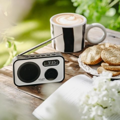 Radio cyfrowe - PLL AM/FM