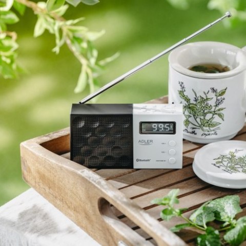 Radio cyfrowe PLL AM/FM