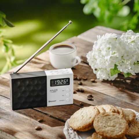 Radio cyfrowe PLL AM/FM