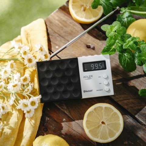 Radio cyfrowe PLL AM/FM