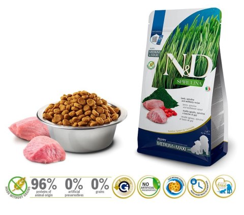 FARMINA N&D SPIRULINA LAMB PUPPY MED/MAXI 2kg