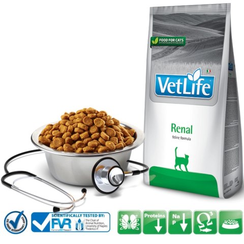 FARMINA Vet Life Feline Renal - sucha karma dla dorosłych kotów 400g FARMINA Vet Life Feline Renal - sucha karma dla dorosłych kotów 400g