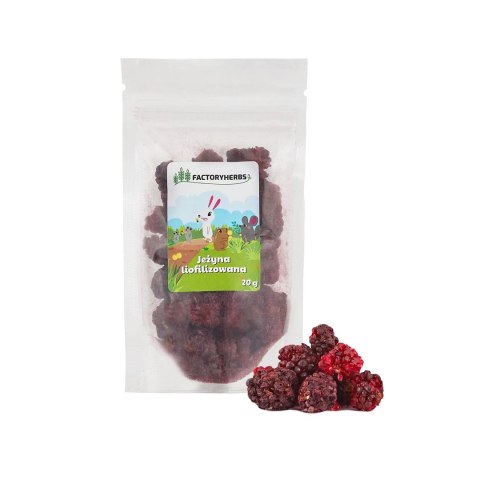 FACTORYHERBS Jeżyna liofilizowana 20g FACTORYHERBS Jeżyna liofilizowana 20g