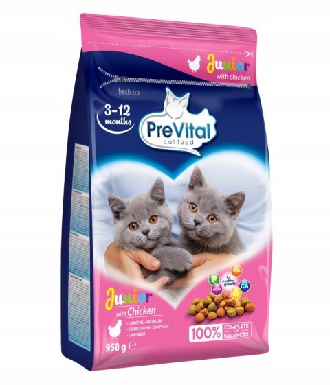 PREVITAL kurczak karma sucha karma kocięta 0,95kg PREVITAL kurczak karma sucha karma kocięta 0,95kg