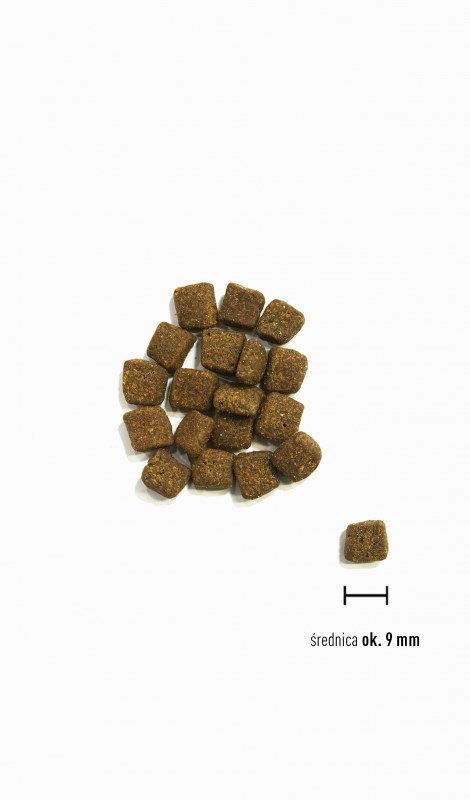 ORIJEN Small Breed Marine Fish małe rasy pies 1,8kg ORIJEN Small Breed Marine Fish małe rasy pies 1,8kg