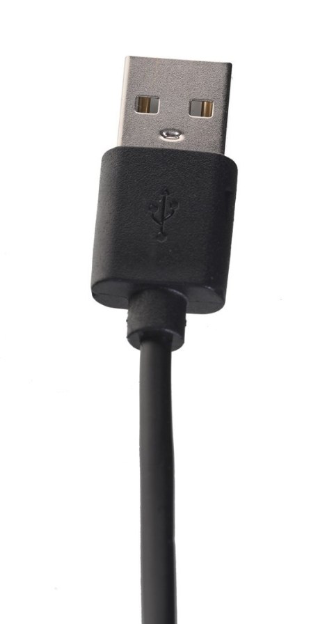Kabel GEMBIRD CC-USB2-AMLM-2M (USB 2.0 M - Lightning M; 2m; kolor czarny) Kabel GEMBIRD CC-USB2-AMLM-2M (USB 2.0 M - Lightning M; 2m; kolor czarny)