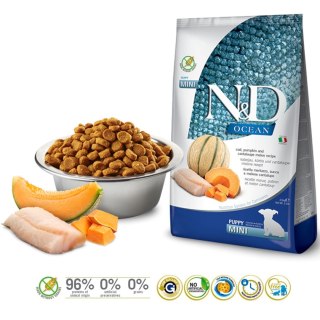 FARMINA N&D OCEAN DOG COD, PUMPKIN & CANTALOUPE MELON PUPPY MINI 800g