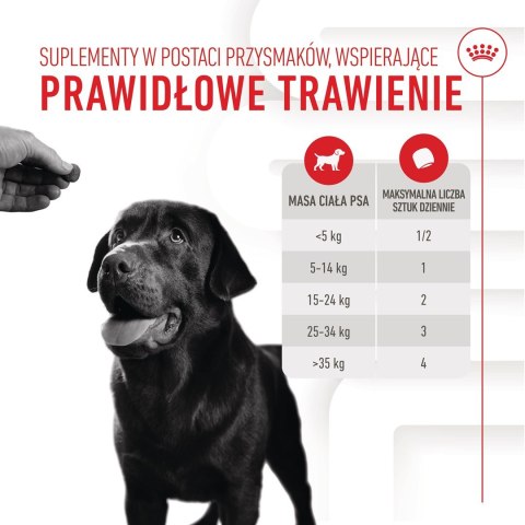 ROYAL CANIN Digestion Adult Dog Supplements 160g