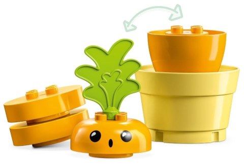 LEGO DUPLO My First 10981 Rosnąca marchewka LEGO DUPLO My First 10981 Rosnąca marchewka