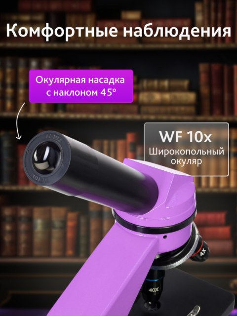(RU) Mikroskop Levenhuk Rainbow 2L Amethyst\Ametyst