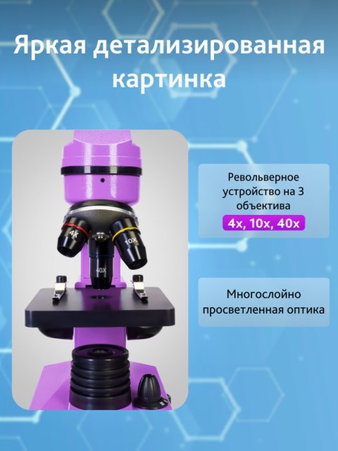 (RU) Mikroskop Levenhuk Rainbow 2L Amethyst\Ametyst