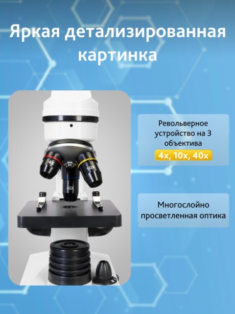 (RU) Mikroskop Levenhuk Rainbow 2L Moonstone\Kamień Księżycowy