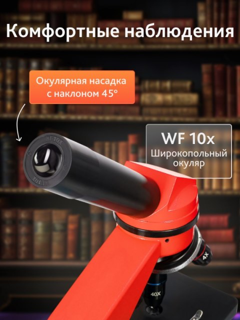 (RU) Mikroskop Levenhuk Rainbow 2L Orange\Pomarańcza (RU) Mikroskop Levenhuk Rainbow 2L Orange\Pomarańcza