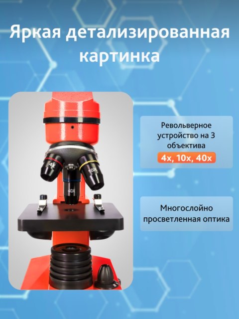 (RU) Mikroskop Levenhuk Rainbow 2L Orange\Pomarańcza (RU) Mikroskop Levenhuk Rainbow 2L Orange\Pomarańcza