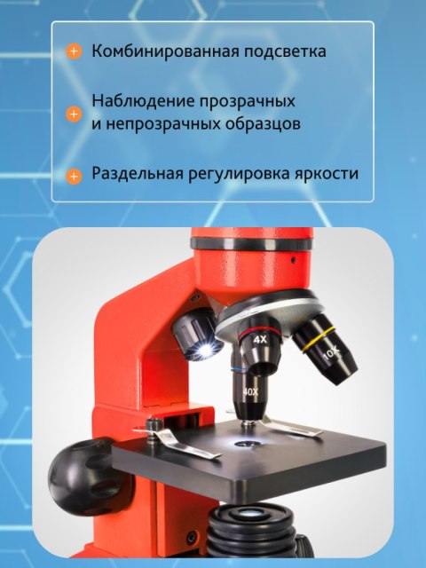 (RU) Mikroskop Levenhuk Rainbow 2L Orange\Pomarańcza (RU) Mikroskop Levenhuk Rainbow 2L Orange\Pomarańcza