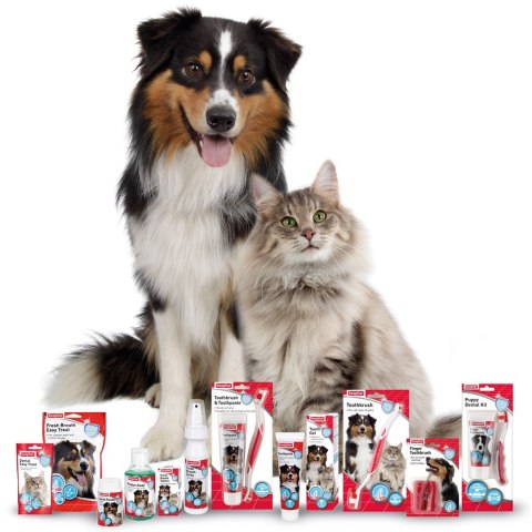 Beaphar Dental powder 75g brunatnice, jama ustna