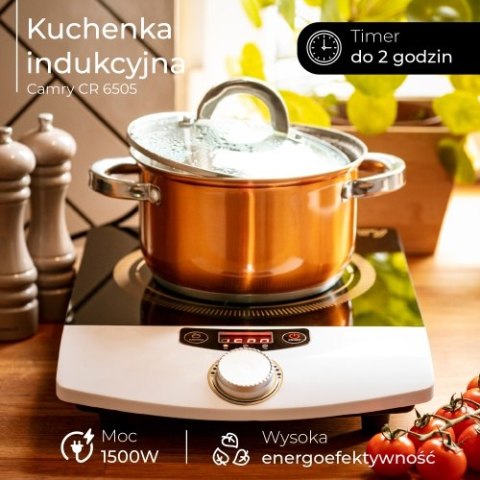 Kuchenka indukcyjna Kuchenka indukcyjna