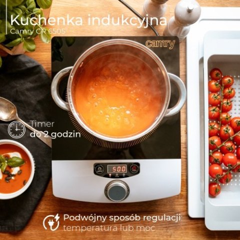 Kuchenka indukcyjna Kuchenka indukcyjna