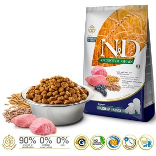 Farmina N&D Ancestral Grain sucha karma dla psów ras średnich i dużych z jagnięciną 12kg