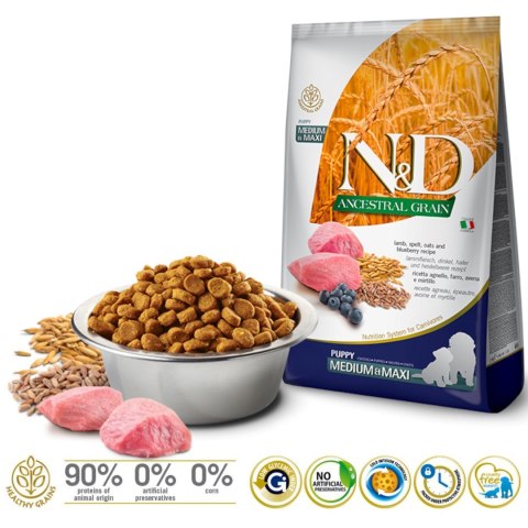 Farmina N&D Ancestral Grain sucha karma dla psów ras średnich i dużych z jagnięciną 12kg