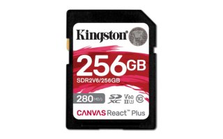 Canvas 256 GB React Plus