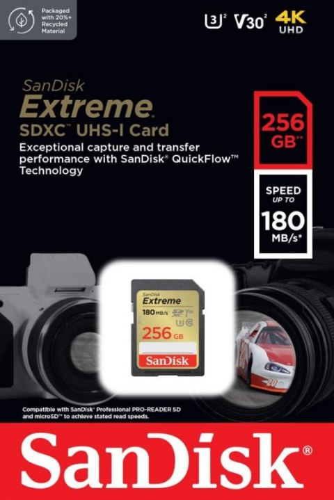 Karta pamięci SANDISK 256 GB Opakowanie Karta pamięci SANDISK 256 GB Opakowanie