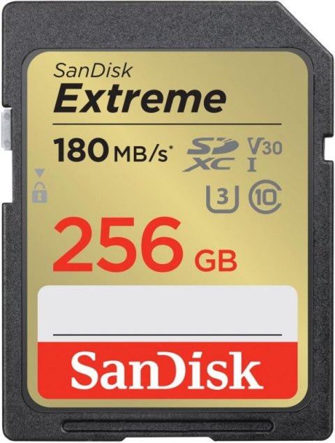 Karta pamięci SANDISK 256 GB Opakowanie Karta pamięci SANDISK 256 GB Opakowanie