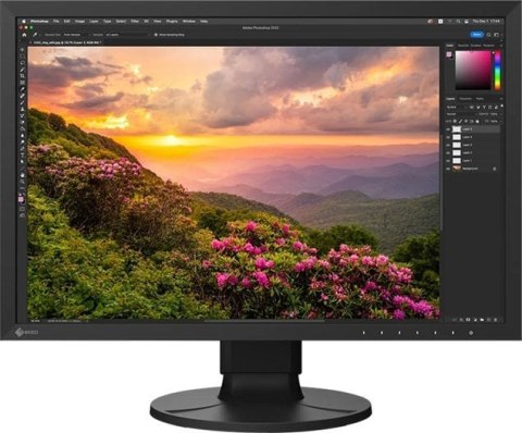Monitor EIZO ColorEdge CS2400S (24.1" /IPS /61Hz /1920 x 1200 /Czarny) Monitor EIZO ColorEdge CS2400S (24.1" /IPS /61Hz /1920 x 1200 /Czarny)