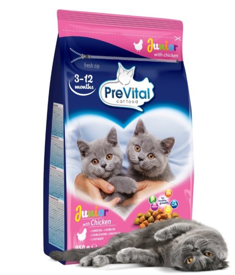 PREVITAL kurczak karma sucha karma kocięta 0,95kg PREVITAL kurczak karma sucha karma kocięta 0,95kg
