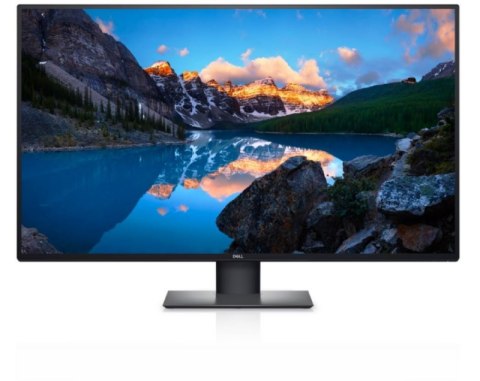Monitor DELL 210-BFIS (42.5" /TFT IPS /60Hz /3840 x 2160 /Czarny ) Monitor DELL 210-BFIS (42.5" /TFT IPS /60Hz /3840 x 2160 /Czarny )