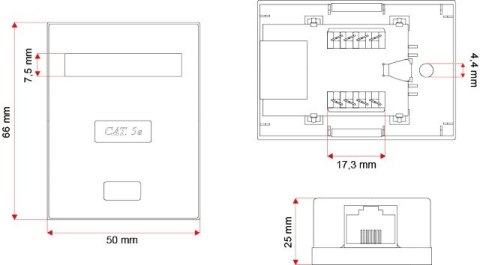 Gniazdo natynkowe A-LAN GN005 (kat. 5e; FTP; kolor biały) Gniazdo natynkowe A-LAN GN005 (kat. 5e; FTP; kolor biały)