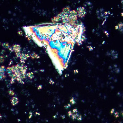 Mikroskop polaryzacyjny MAGUS Pol 850 Mikroskop polaryzacyjny MAGUS Pol 850