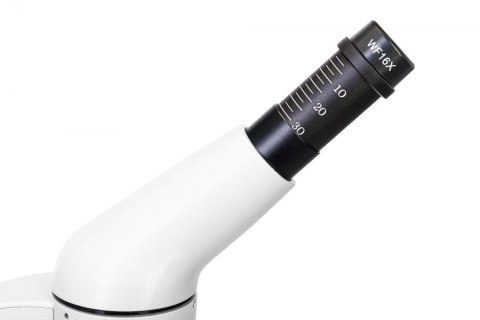 (PL) Mikroskop cyfrowy Levenhuk Rainbow D50L PLUS 2M, MoonstoneKamień księżycowy