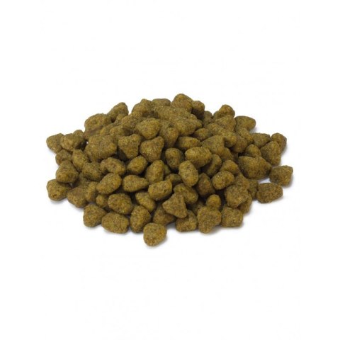 Arquivet Sucha karma dla kotów sterylizowanych z indykiem 1,5 kg Arquivet Sucha karma dla kotów sterylizowanych z indykiem 1,5 kg