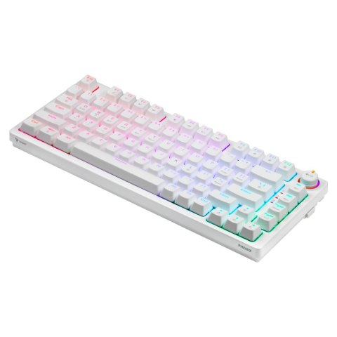 SAVIO KLAWIATURA MECHANICZNA BEZPRZEWODOWA PHENIX WHITE GATERON RED PRO ABS SAVIO KLAWIATURA MECHANICZNA BEZPRZEWODOWA PHENIX WHITE GATERON RED PRO ABS
