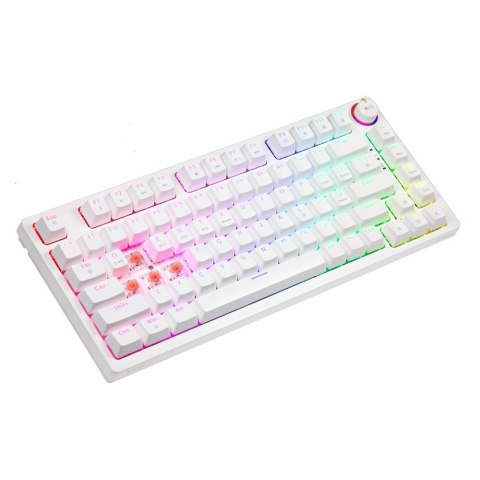 SAVIO KLAWIATURA MECHANICZNA BEZPRZEWODOWA PHENIX WHITE GATERON RED PRO ABS SAVIO KLAWIATURA MECHANICZNA BEZPRZEWODOWA PHENIX WHITE GATERON RED PRO ABS
